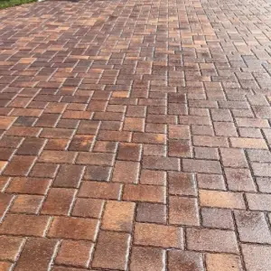 Brick Pavers and Painted Areas